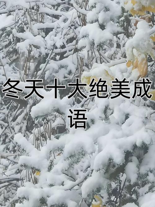 北京的雪下大了,北京的雪下大了怎么形容