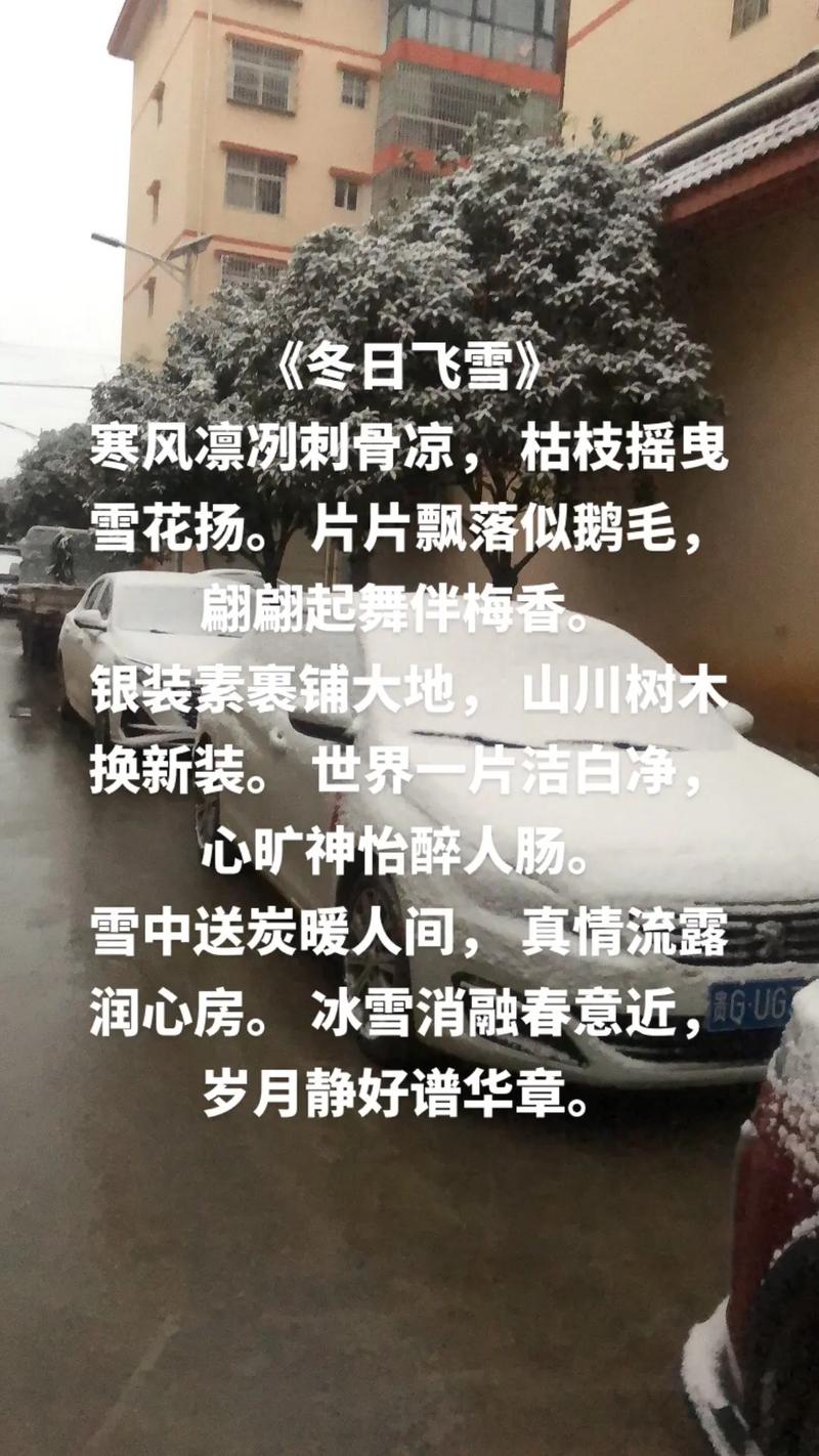 今年下雪不撒融雪剂,今年不下雪了