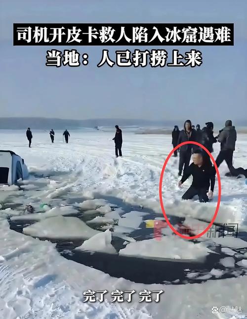哈尔滨再现冰封鱼，哈尔滨再现冰封鱼事件