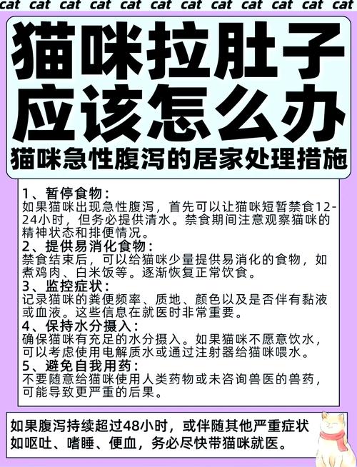 猫在超市米中排泄，猫尿到大米里了怎么办