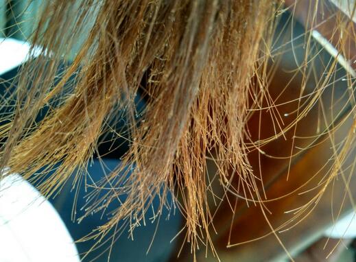 头发开叉其实是病，头发开叉正常吗