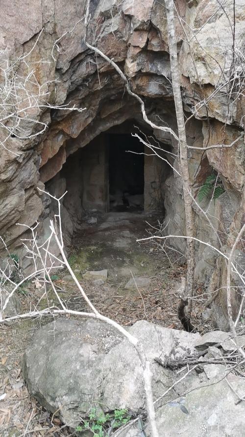 80岁老人住山洞，80岁老人住山洞好吗