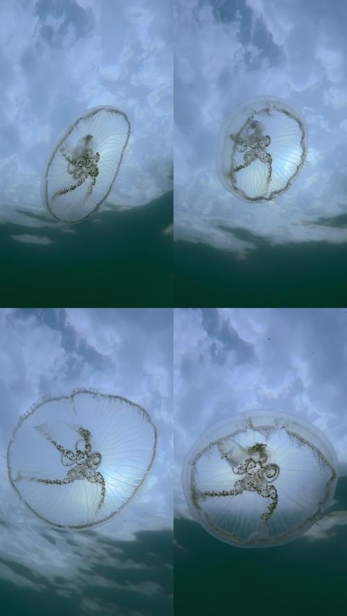 罕见太空水母云现身，太空水母事件