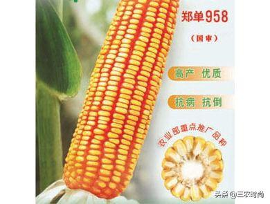 育补发放超2400万人，发放育儿补贴