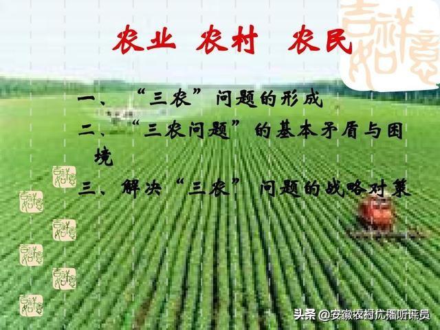 育补发放超2400万人，发放育儿补贴