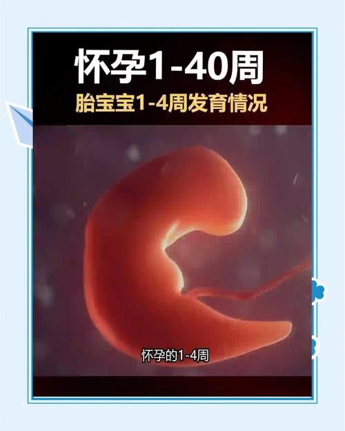 孕妇从1胎变4胞胎，孕妇从1胎变4胞胎怎么办