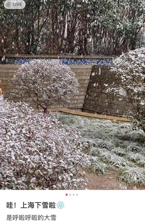 上海下雪，上海下雪吗?