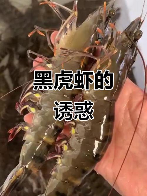 变黑的虾还能吃吗，变黑的虾还能吃吗有毒吗