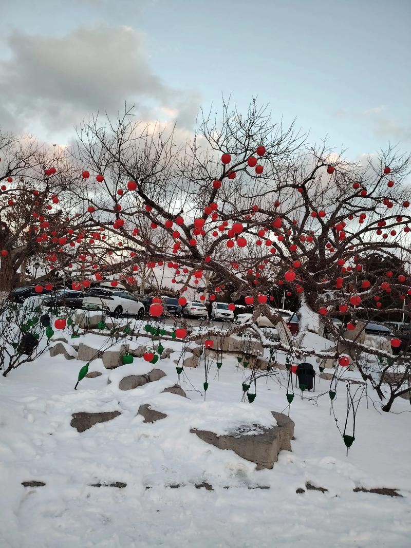 威海积雪倒海里了，威海积雪倒海里了吗现在