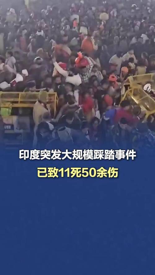 印度杀人象致21死，印度男子杀害