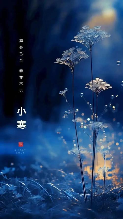 三九不冷后面还冷吗，三九天不冷