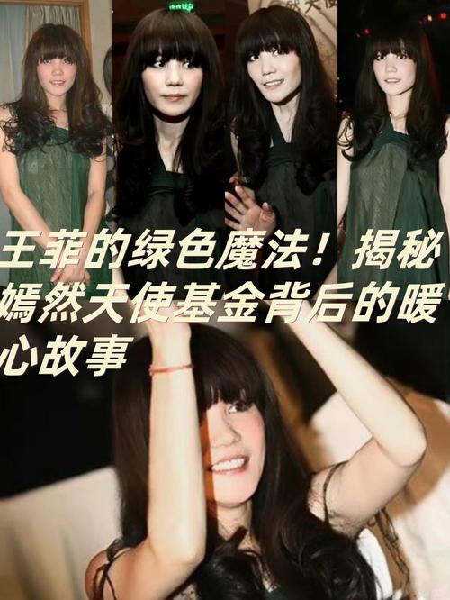 嫣然天使基金筹满款，嫣然天使基金账目