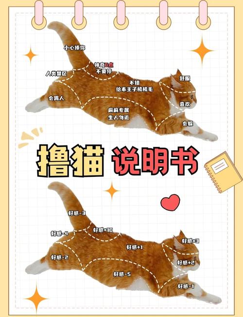 摸凹猫 摸凸猫，摸凹猫是什么意思