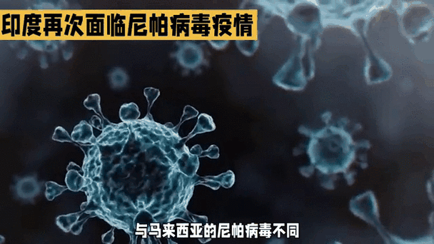 感染尼帕病毒的特征，感染尼帕病毒的特征是什么