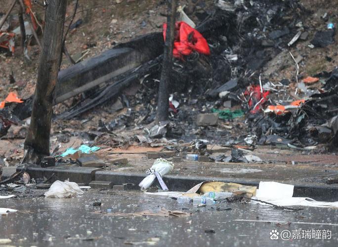 飞机坠毁人员全遇难，飞机坠毁全部遇难