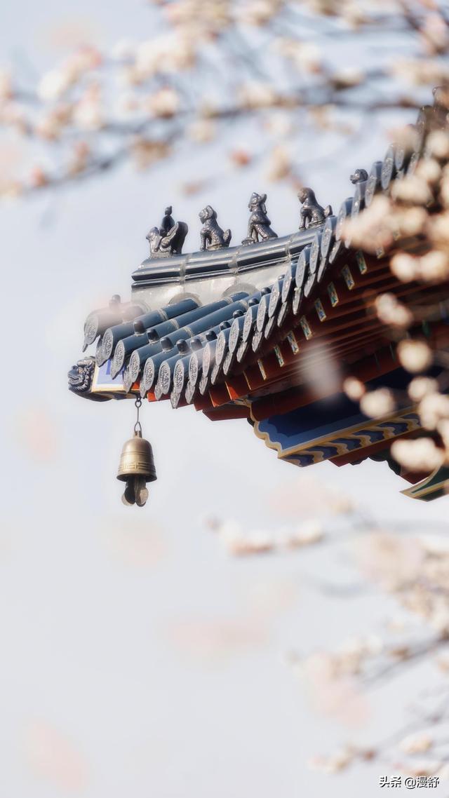 国际雪联道歉，国际雪联规则