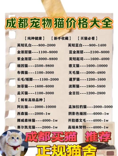 上门喂猫9天赚5000，上门喂猫价格